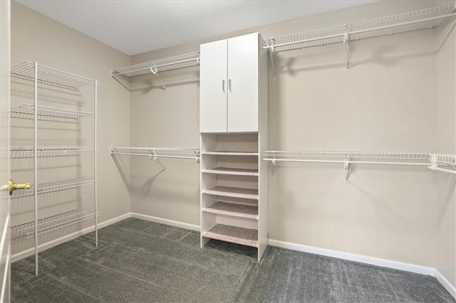 spacious closet featuring carpet flooring