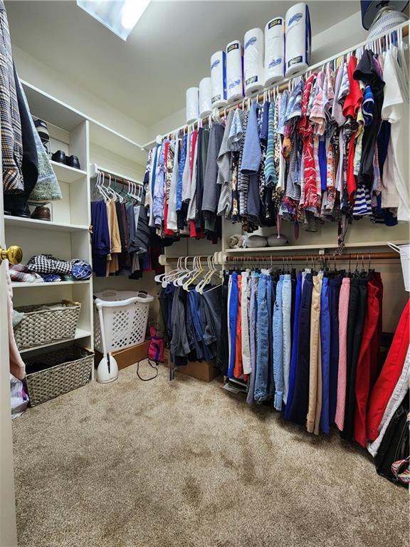 spacious closet featuring carpet flooring