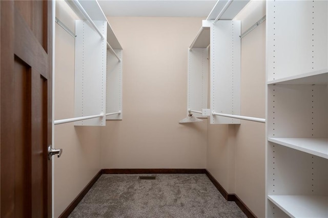 spacious closet with visible vents and carpet flooring