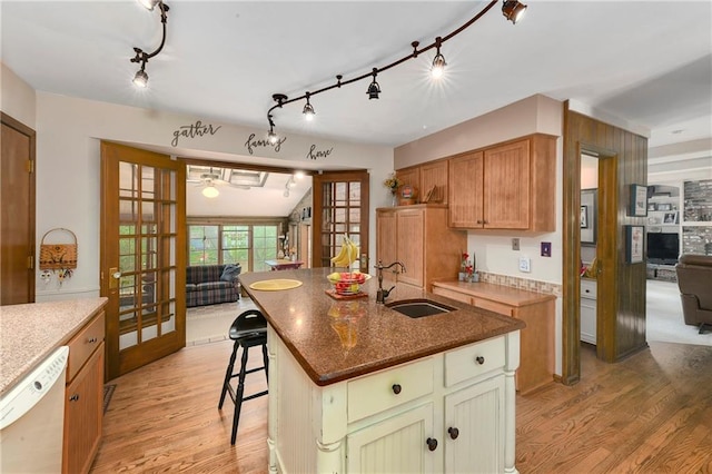 kitchen featuring a sink, dishwasher, light wood-style floors, track lighting, and open floor plan