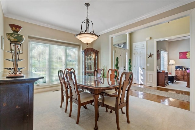 dining area with crown molding, carpet, and wainscoting