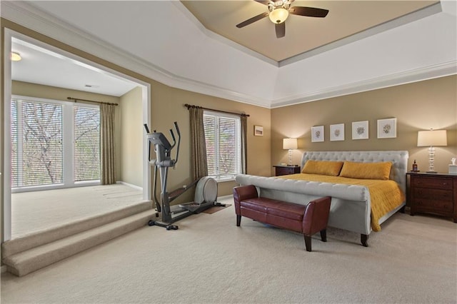 bedroom featuring carpet floors, multiple windows, and a tray ceiling
