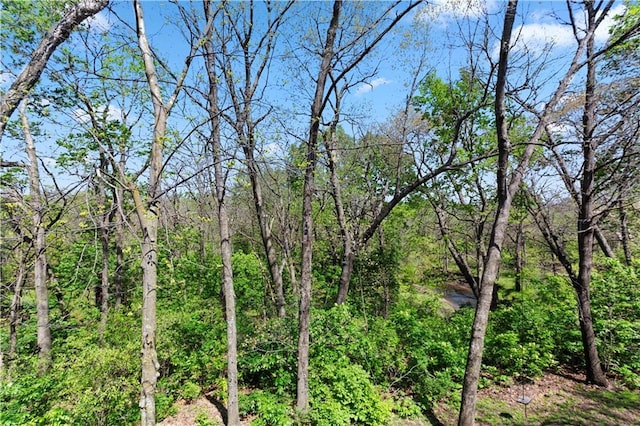 view of local wilderness with a wooded view