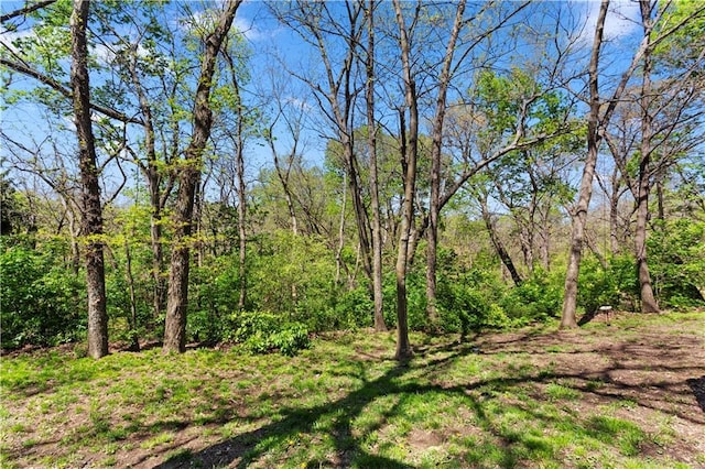 view of landscape with a view of trees
