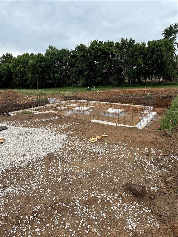 15381 W 162nd St, Olathe, KS 66062 - view of yard