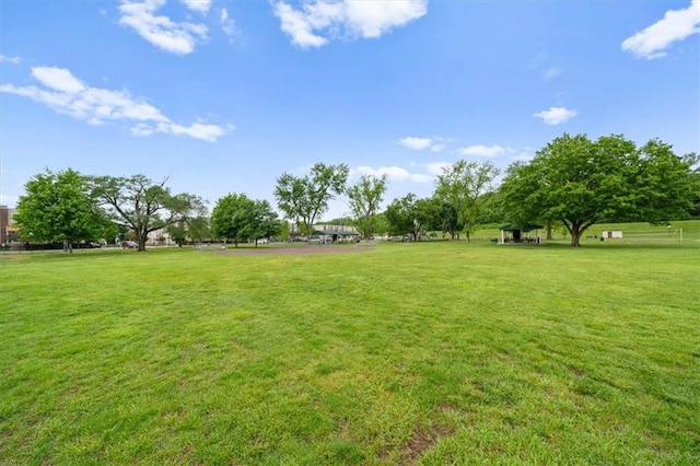2906 Howell St, North Kansas City, MO 64116 - photo 29