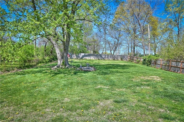 view of yard with a fenced backyard