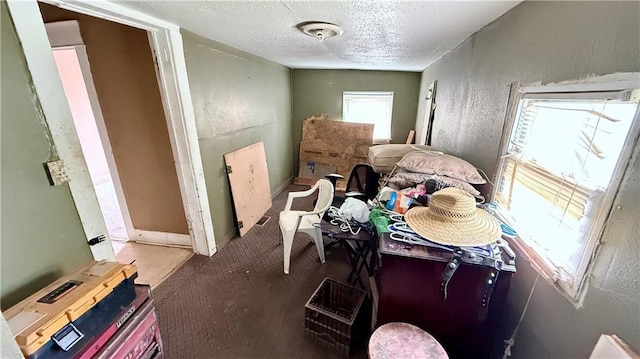 2901 Farrow Ave, Kansas City, KS 66104 - misc room with carpet floors and a textured ceiling