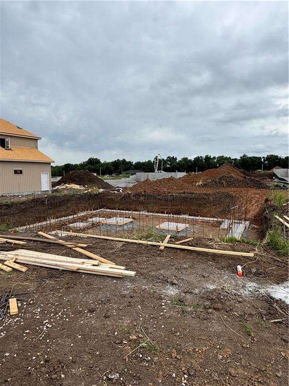 15291 W 161st Ter, Olathe, KS 66062 - view of yard