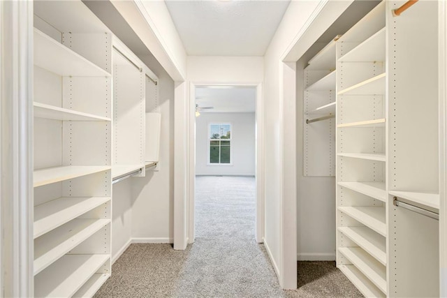 9738 Nieman Pl, Overland Park, KS 66214 - walk in closet featuring carpet flooring and a ceiling fan