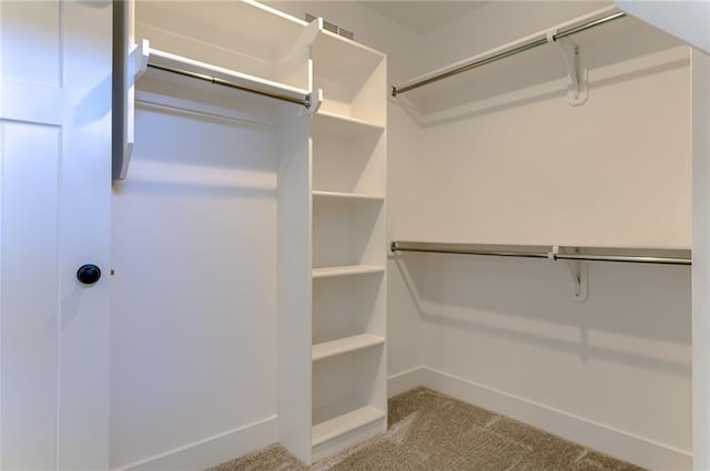 1308 N Holland Dr, Independence, MO 64056 - spacious closet with carpet flooring