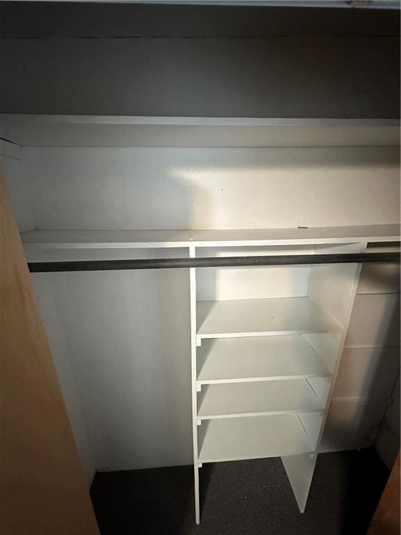view of closet