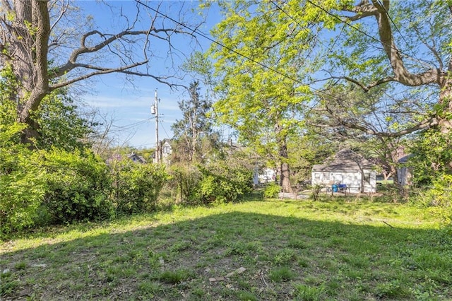 442 N Colorado Ave, Kansas City, MO 64123 - view of yard