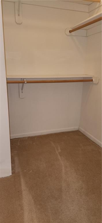 1219 S 3rd St, Louisburg, KS 66053 - walk in closet featuring carpet flooring