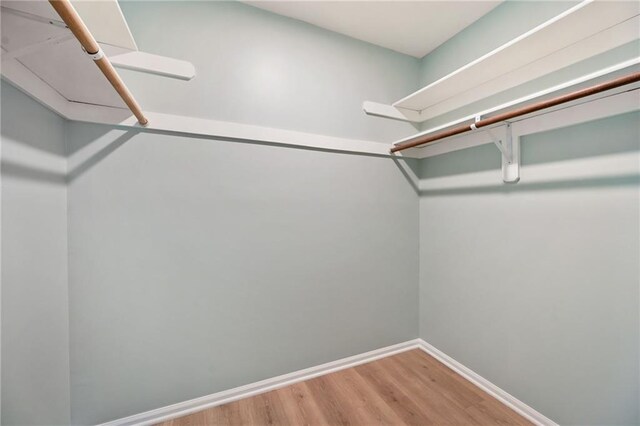 spacious closet with wood finished floors