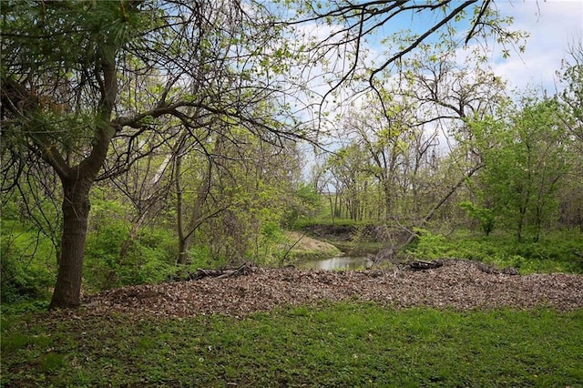view of local wilderness
