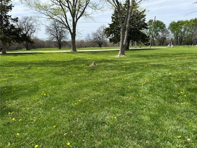 view of yard
