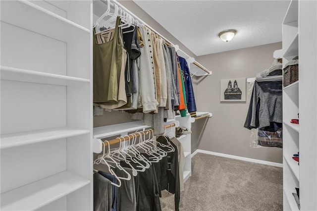 16754 W 156th Ter, Olathe, KS 66062 - spacious closet with carpet floors