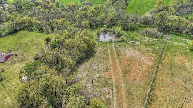 24101 E 223rd St, Harrisonville, MO 64701 - aerial view with a water view