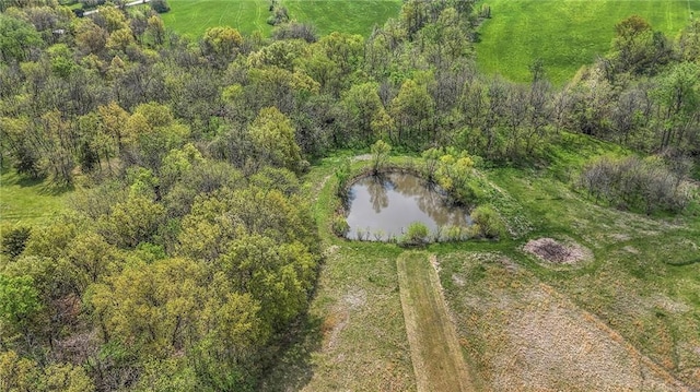 24101 E 223rd St, Harrisonville, MO 64701 - aerial view with a water view
