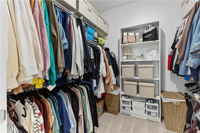 walk in closet featuring carpet flooring