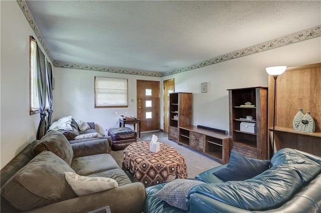 carpeted living room with a textured ceiling
