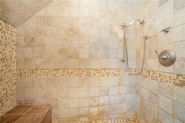 10100 El Monte St, Overland Park, KS 66207 - bathroom featuring a tile shower