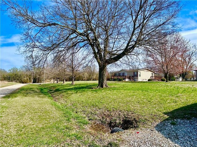 171 E 5th St, Schell City, MO 64783 - view of yard