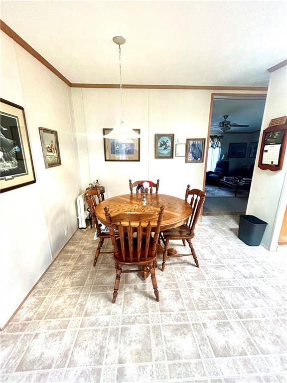 171 E 5th St, Schell City, MO 64783 - dining space featuring ceiling fan and ornamental molding
