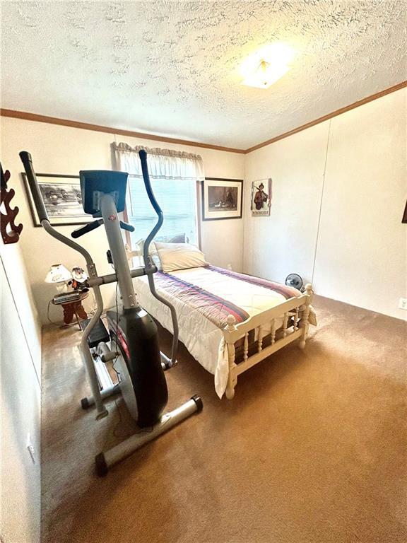171 E 5th St, Schell City, MO 64783 - carpeted bedroom with crown molding and a textured ceiling