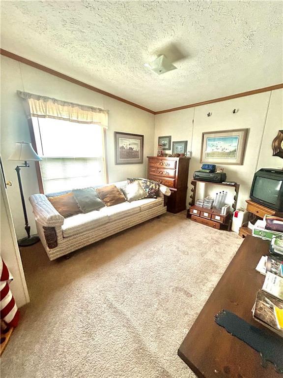 171 E 5th St, Schell City, MO 64783 - living area featuring ornamental molding, a textured ceiling, and carpet