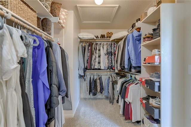 9500 N Lane Ave, Kansas City, MO 64157 - walk in closet with carpet and attic access