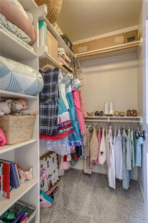 9500 N Lane Ave, Kansas City, MO 64157 - spacious closet with carpet flooring