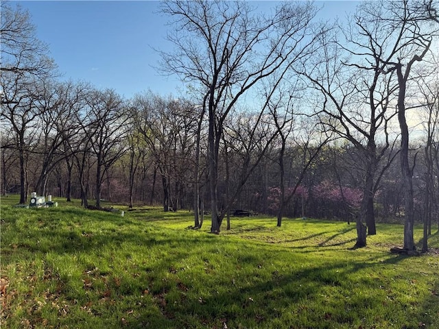 view of yard with a wooded view