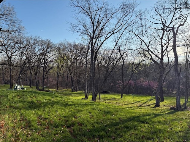 view of yard featuring a wooded view