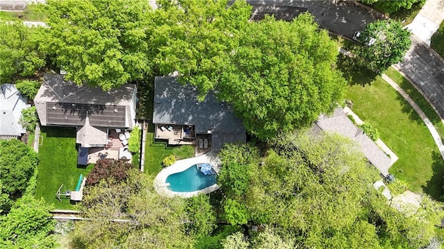 aerial view