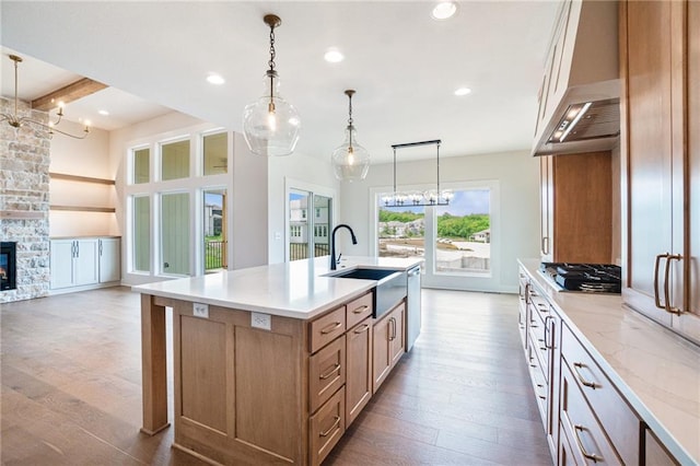 2315 SW Serena Pl, Lees Summit, MO 64082 - kitchen featuring a sink, stainless steel appliances, a fireplace, recessed lighting, and wood finished floors
