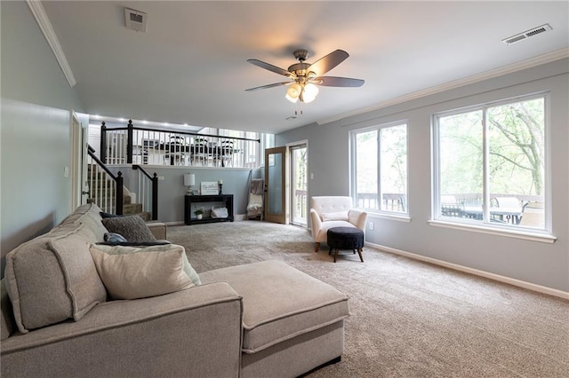 carpeted living room featuring visible vents, crown molding, stairs, baseboards, and a ceiling fan