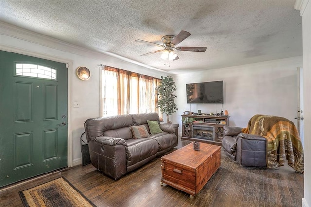 6606 E 135th St, Grandview, MO 64030 - living area featuring a textured ceiling, ceiling fan, ornamental molding, and dark wood-style flooring