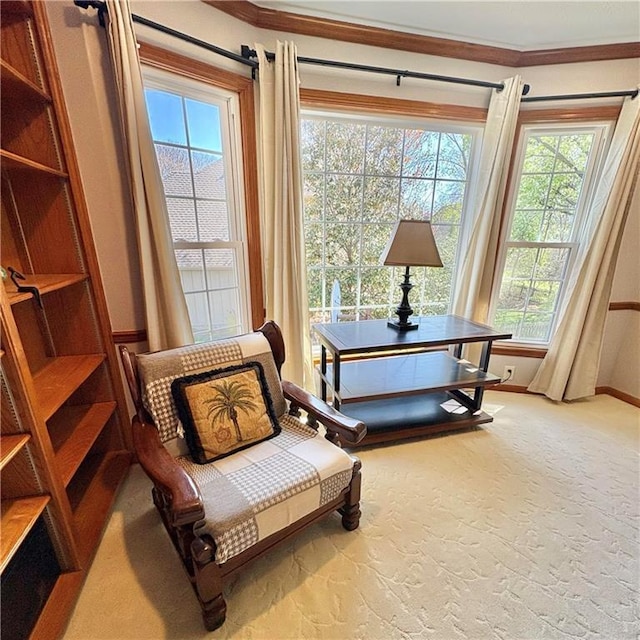 2405 W 123rd Ter, Leawood, KS 66209 - living area featuring carpet, baseboards, a wealth of natural light, and crown molding