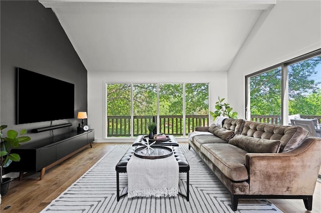 224 NW Locust St, Lees Summit, MO 64064 - living area with high vaulted ceiling, plenty of natural light, and wood finished floors