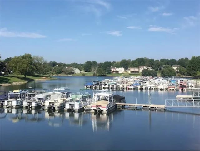 224 NW Locust St, Lees Summit, MO 64064 - water view featuring a floating dock