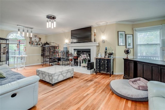 653 NE Reed Xing, Lees Summit, MO 64086 - living room featuring crown molding, a fireplace with raised hearth, baseboards, and light wood-type flooring