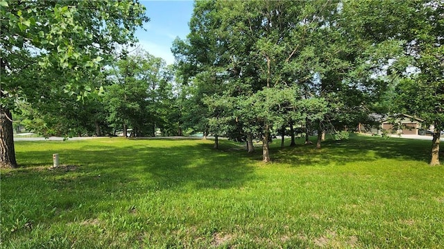 LOTS52 Lake Viking Ter, Gallatin, MO 64640 - photo 3