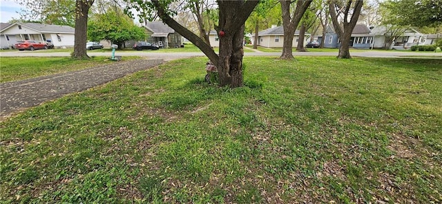 507 E Monroe St, Pittsburg, KS 66762 - view of yard with a residential view