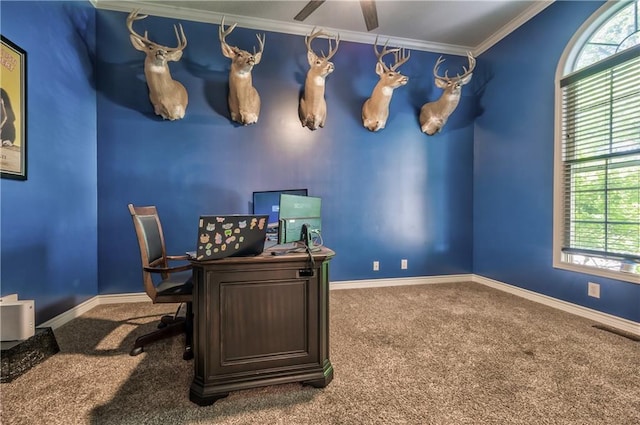 carpeted home office with plenty of natural light, ornamental molding, and baseboards