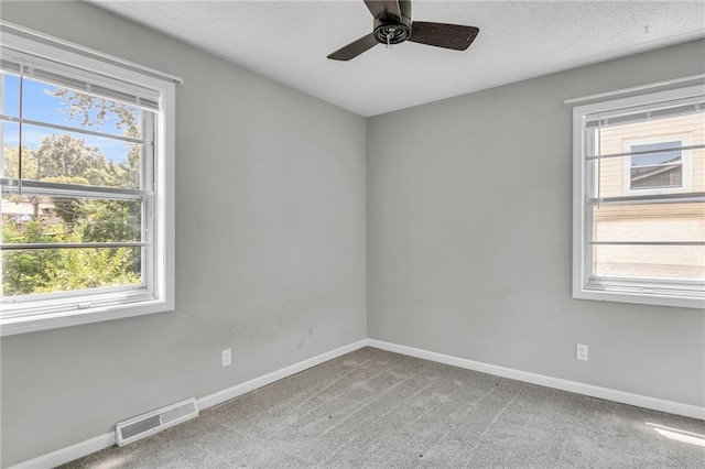 carpeted spare room with healthy amount of natural light and baseboards
