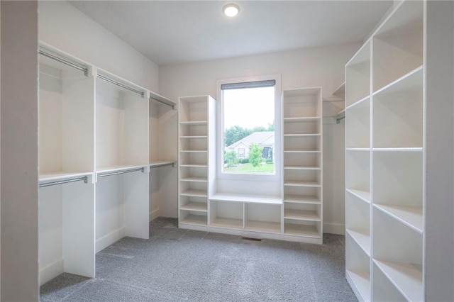 8120 Lone Elm Rd, Lenexa, KS 66220 - spacious closet featuring carpet