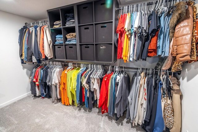 20609 NE 161st St, Kearney, MO 64060 - view of spacious closet