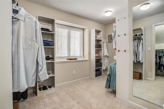 walk in closet with carpet flooring